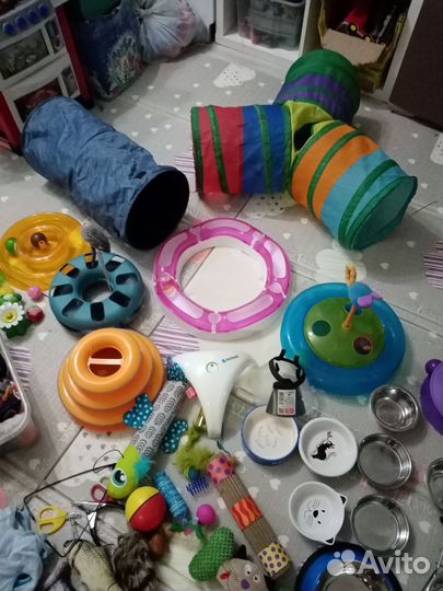 Игрушки, одежда, поилки для кошек, мелких собак