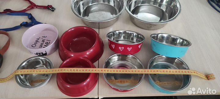 Ошейник, поводок, миски, кусачки для собак