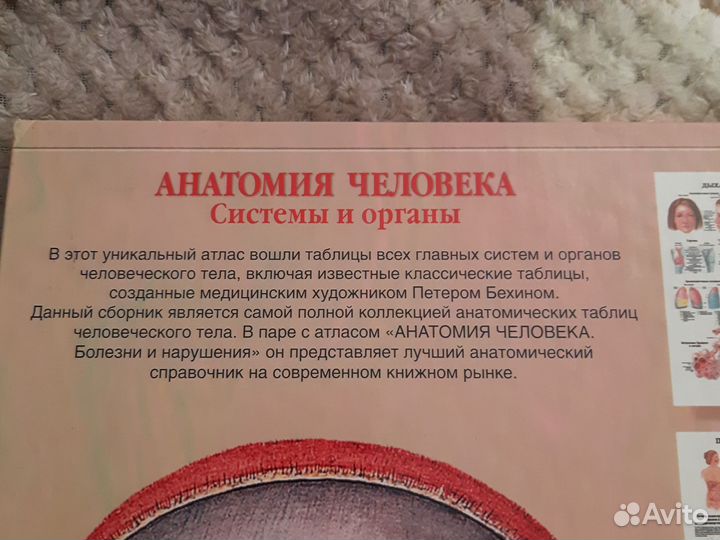 Книга атлас анатомии человека