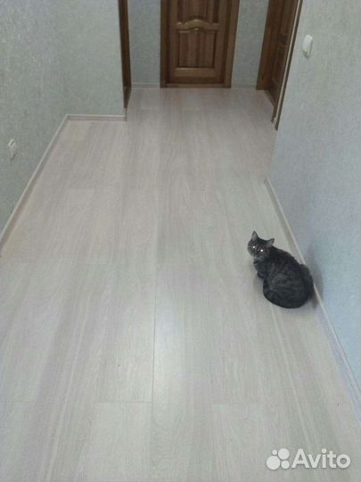 Укладка линолеума,ламината,фанеры,осп,плинтуса