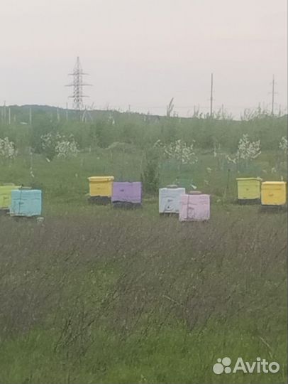 Продам улья ППУ и деревянные в отличном состоянии