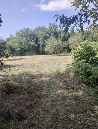 Участок 22 сот. (ИЖС)