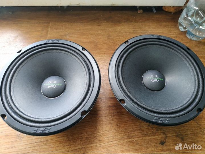 Apocalypse sylvester m81