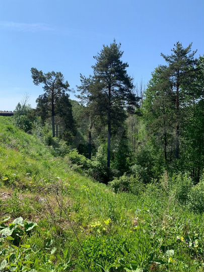 Участок 9 га (ИЖС)