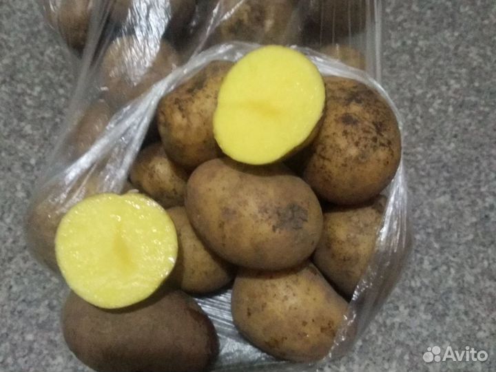 Продам картофель домашний и свеклу