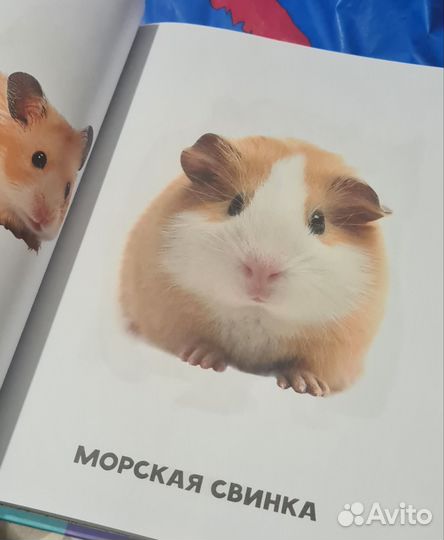 Детские книги 0