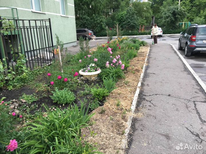 Садоводство