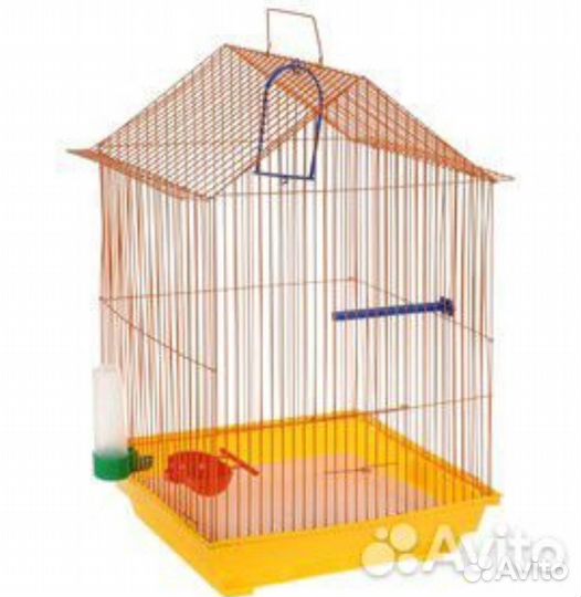 Птенцы волнистого попугая