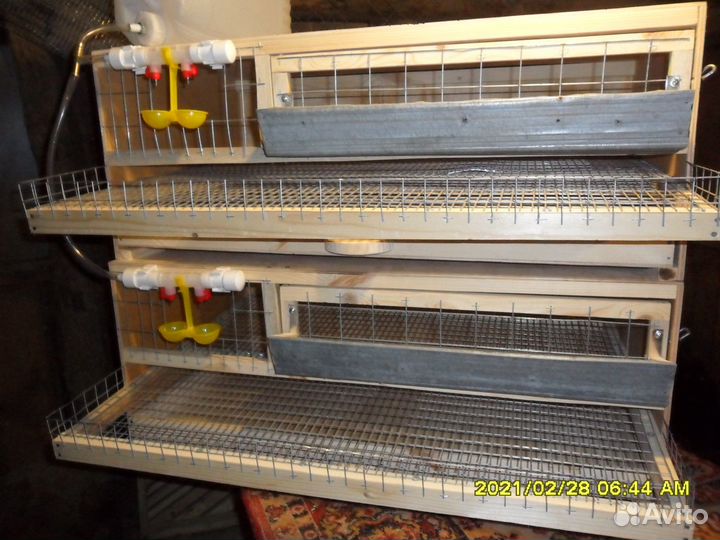 Клетки для перепелов