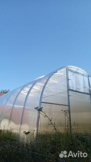 Теплица усиленная Р