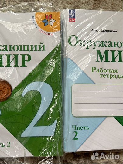 Учебники и рабочая тетрадь окружающий мир