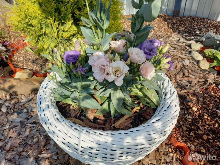 Кашпо из исскуственного ротанга