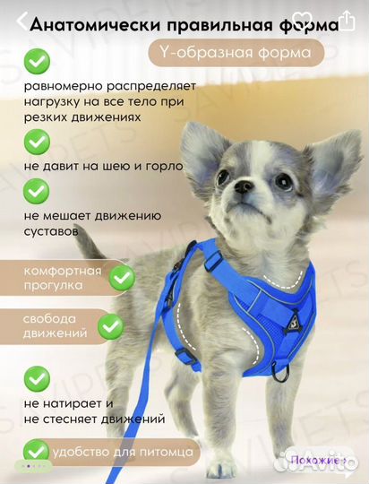 Шлейка для маленькой собаки