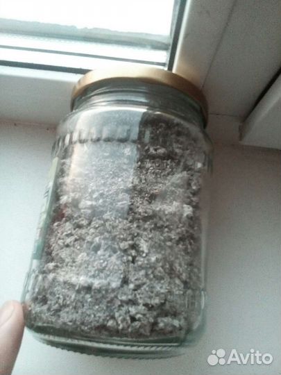Пепел от сигарет