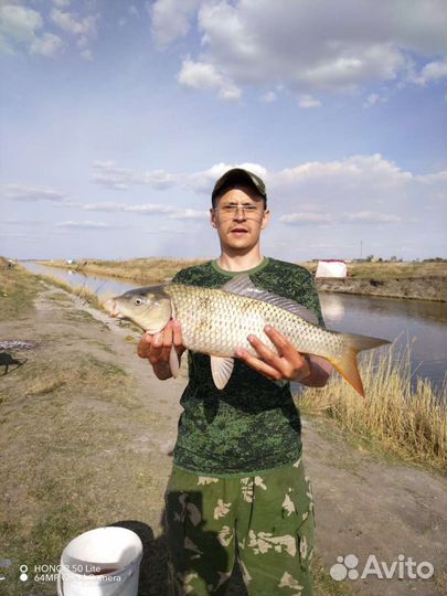Бойла