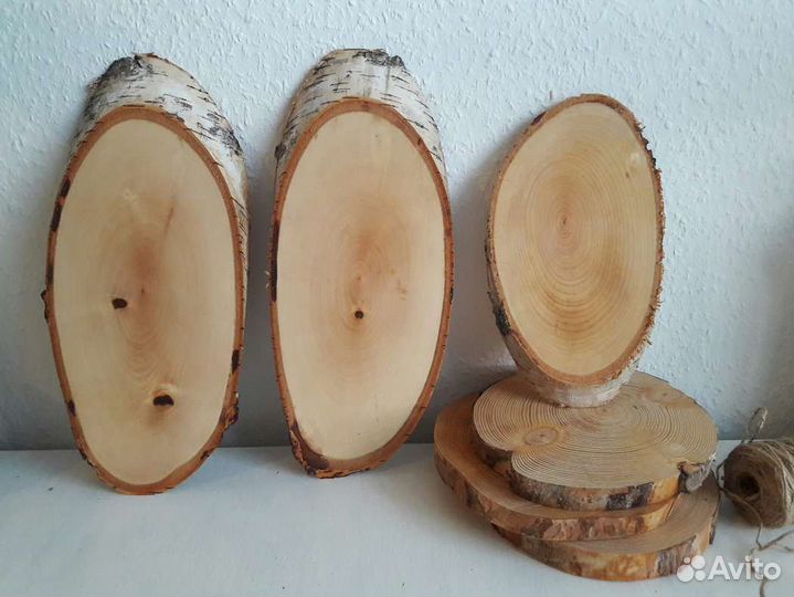 Спилы деревьев