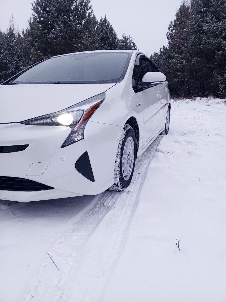 Toyota Prius: фото из отзыва
