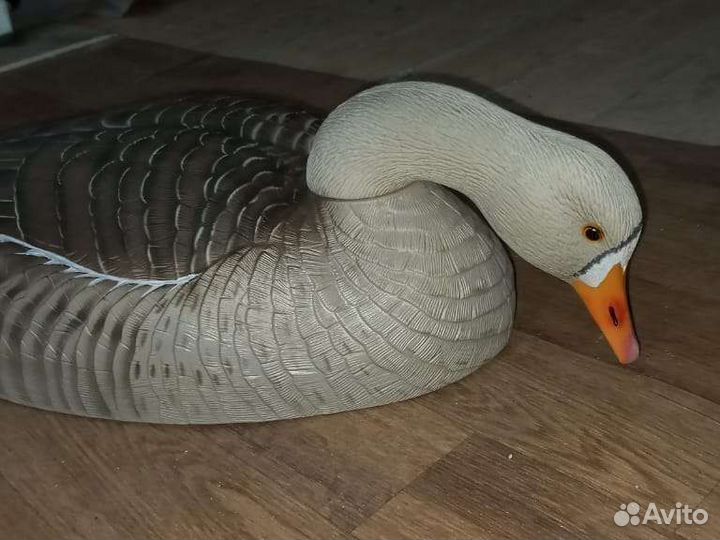 Профиля гусей гринхед