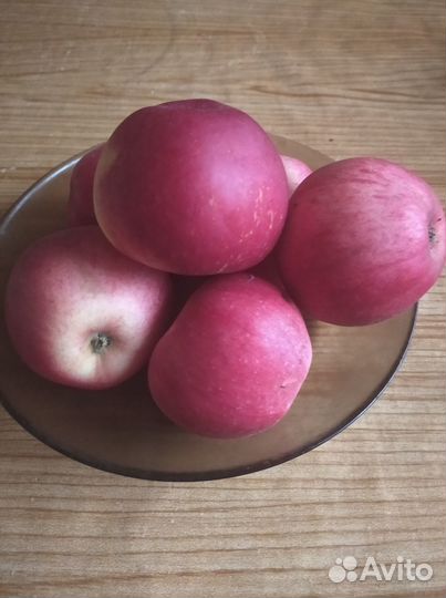 Яблоки домашние