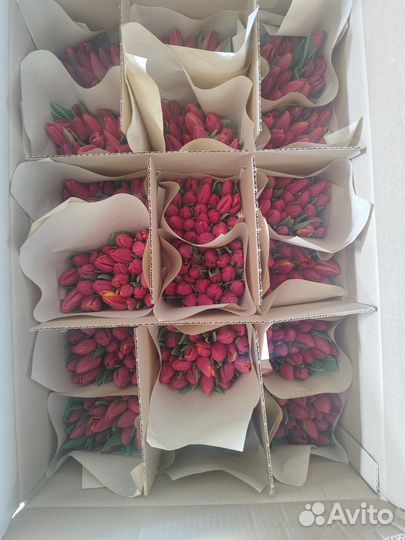 Тюльпаны к 8 марта оптом