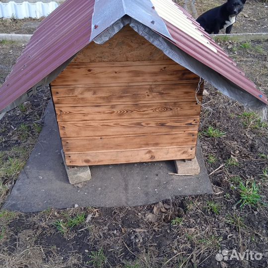 Будка для собаки