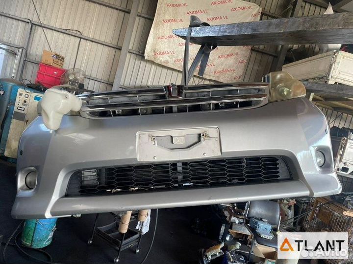 Ноускат toyota isis