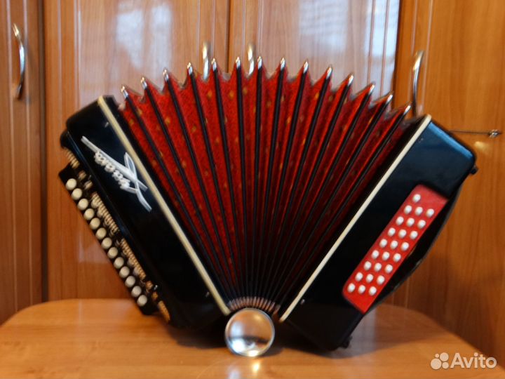 Гармонь чайка