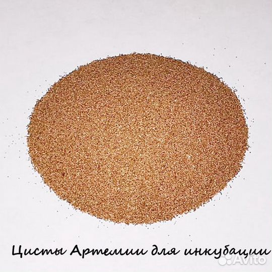 Чистые живые и сухие корма для аквариумных рыбок