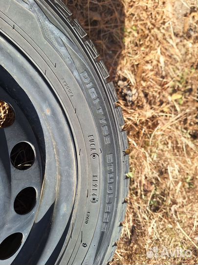 Dunlop SP Winter Maxx WM01 185/60 R15