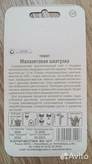 Рассада помидоров томатов