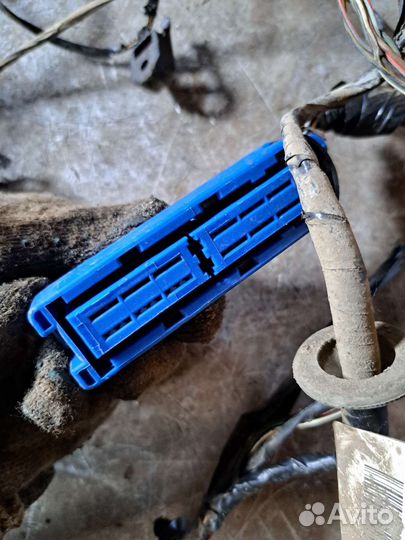 Проводка багажника Opel Vectra C