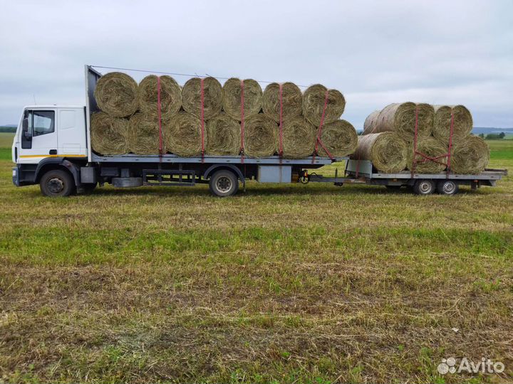 Сено в рулонах 2024. Доставка (Цена договорная)
