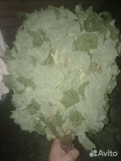 Банные веники