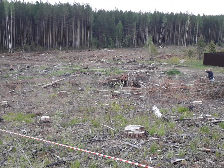 Участок 12 сот. (ИЖС)