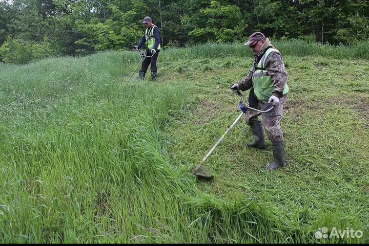 Сад благоустройство