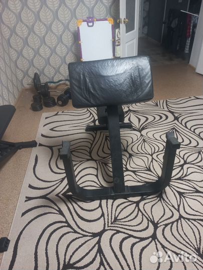 Скамья Скотта Body Solid