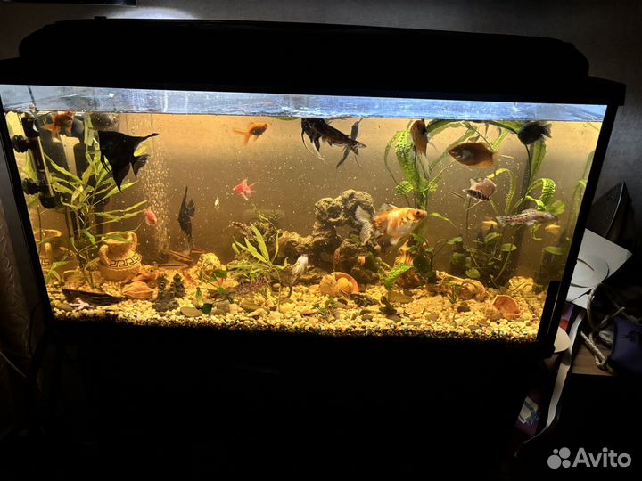 Украшение для аквариума