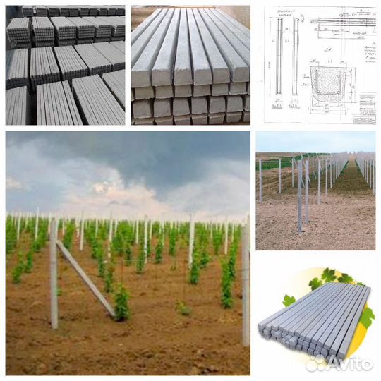 Виноградные столбики от производителя жби