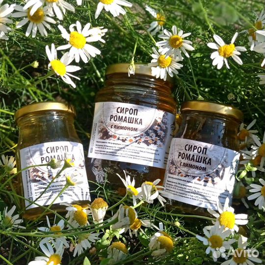 Варенье, сиропы из ягод, шишек, ореха, хвои, трав