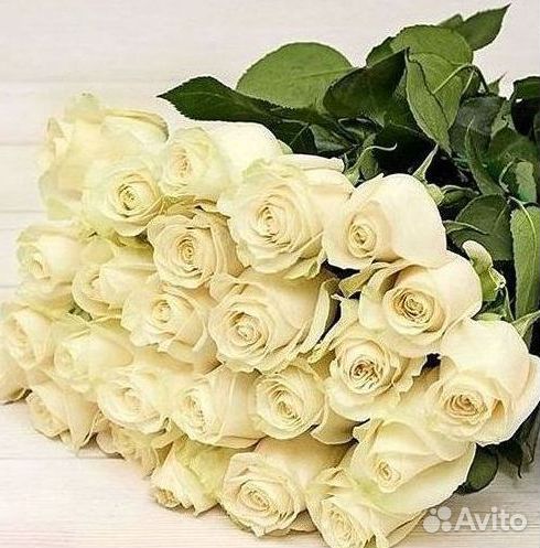 101 Роза Цветы Букеты 51 25 Роз Доставка