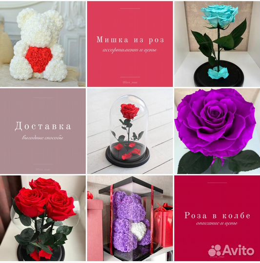 Розы в колбе. Новые