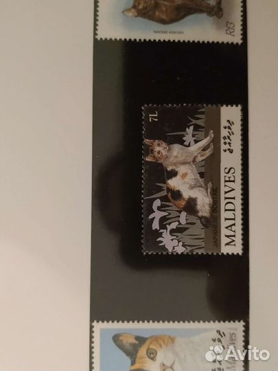 Редкие марки с Кошками, 4 шт. (Мальдивы)