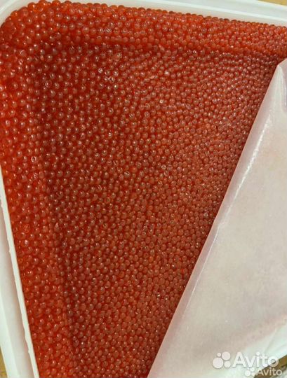 Икра красная кета, горбуша 2023