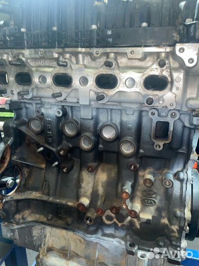 Двигатель Kia D4HB AU162614