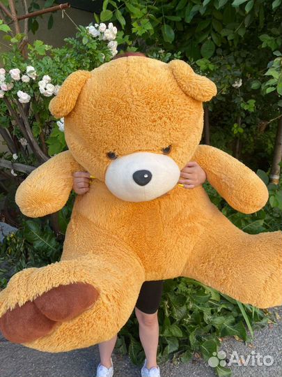 Плюшевый медведь