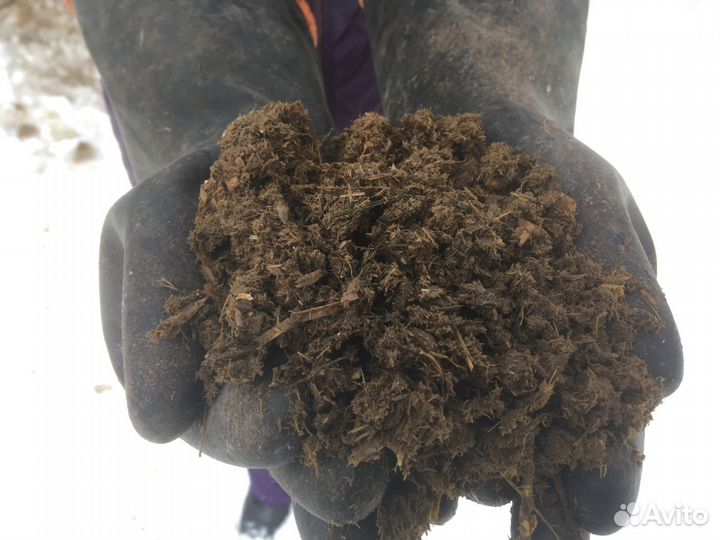 Конский навоз