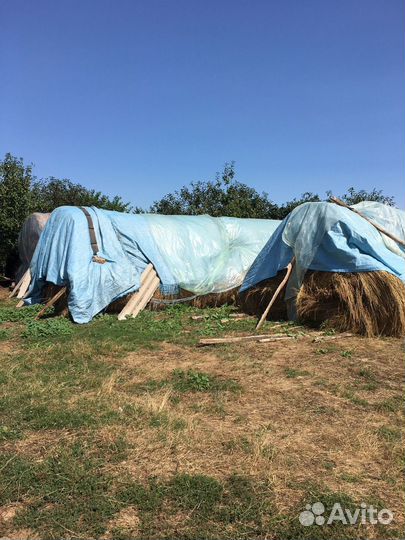 Сено в тюках