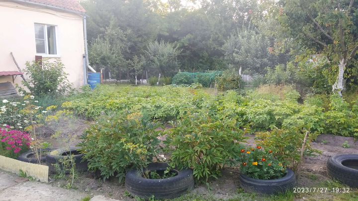 Дом 56,4 м² на участке 7 сот.