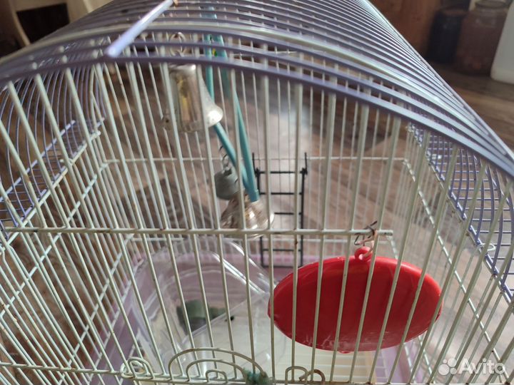 Клетка для попугая