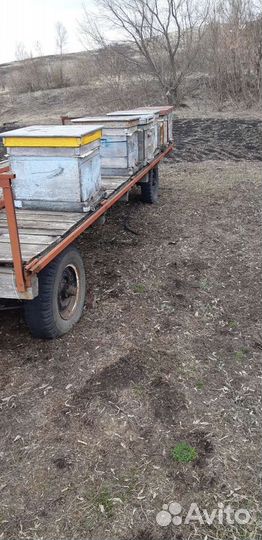 Прицеп для перевозки пчёл